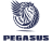 Грузовые шины Pegasus